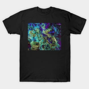 Rapture of the sea T-Shirt